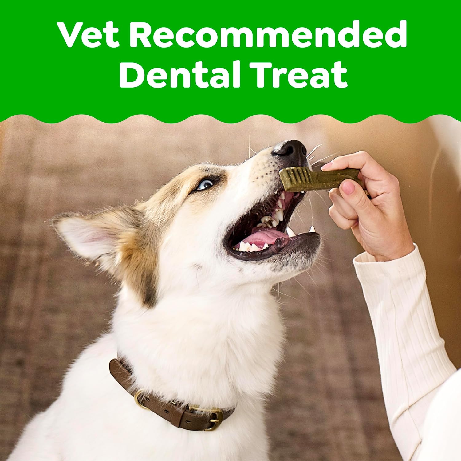 Greenies Original dental dog treats in chicken flavor for plaque and tartar control