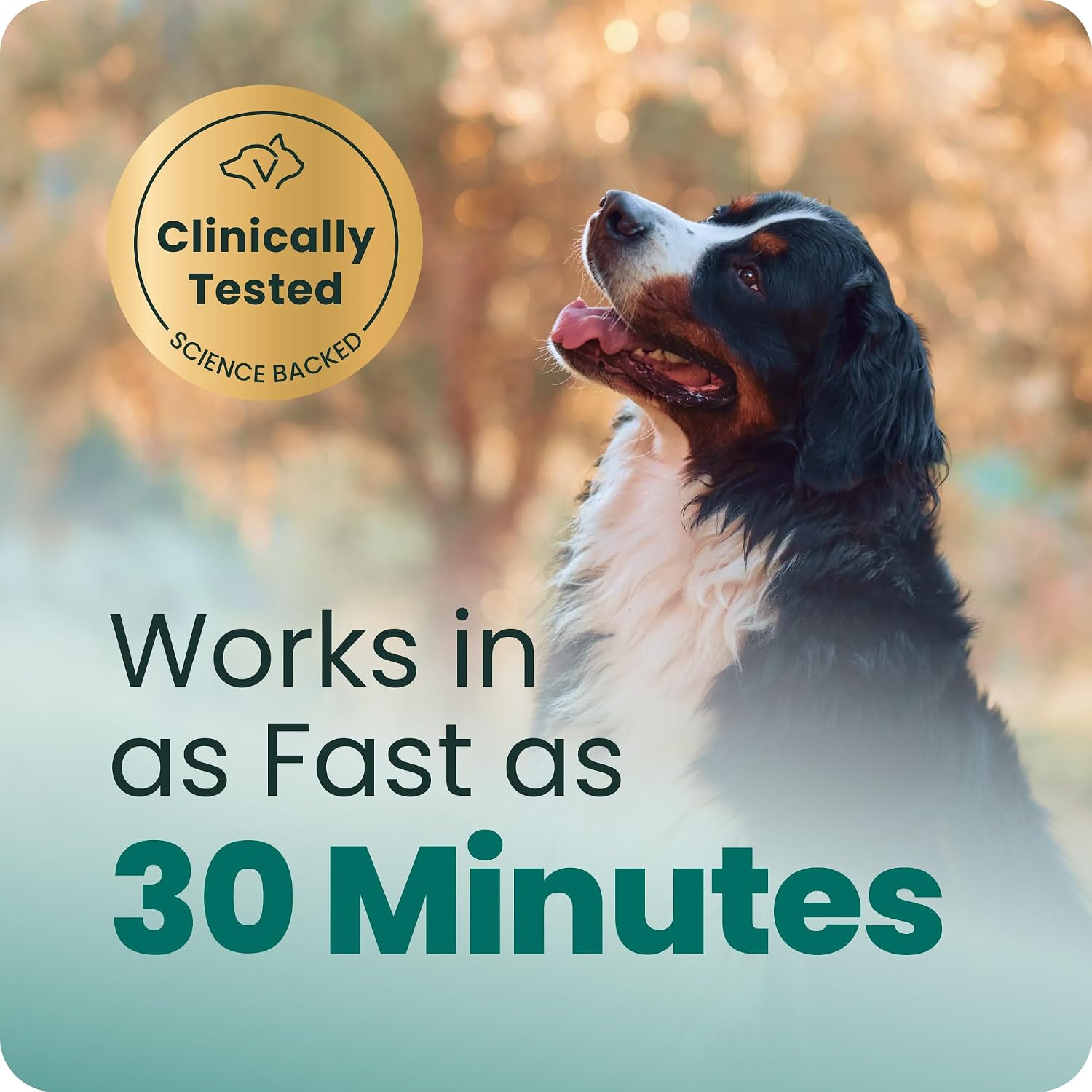 VetriScience Composure calm and confident soft chews for dog anxiety and stress relief