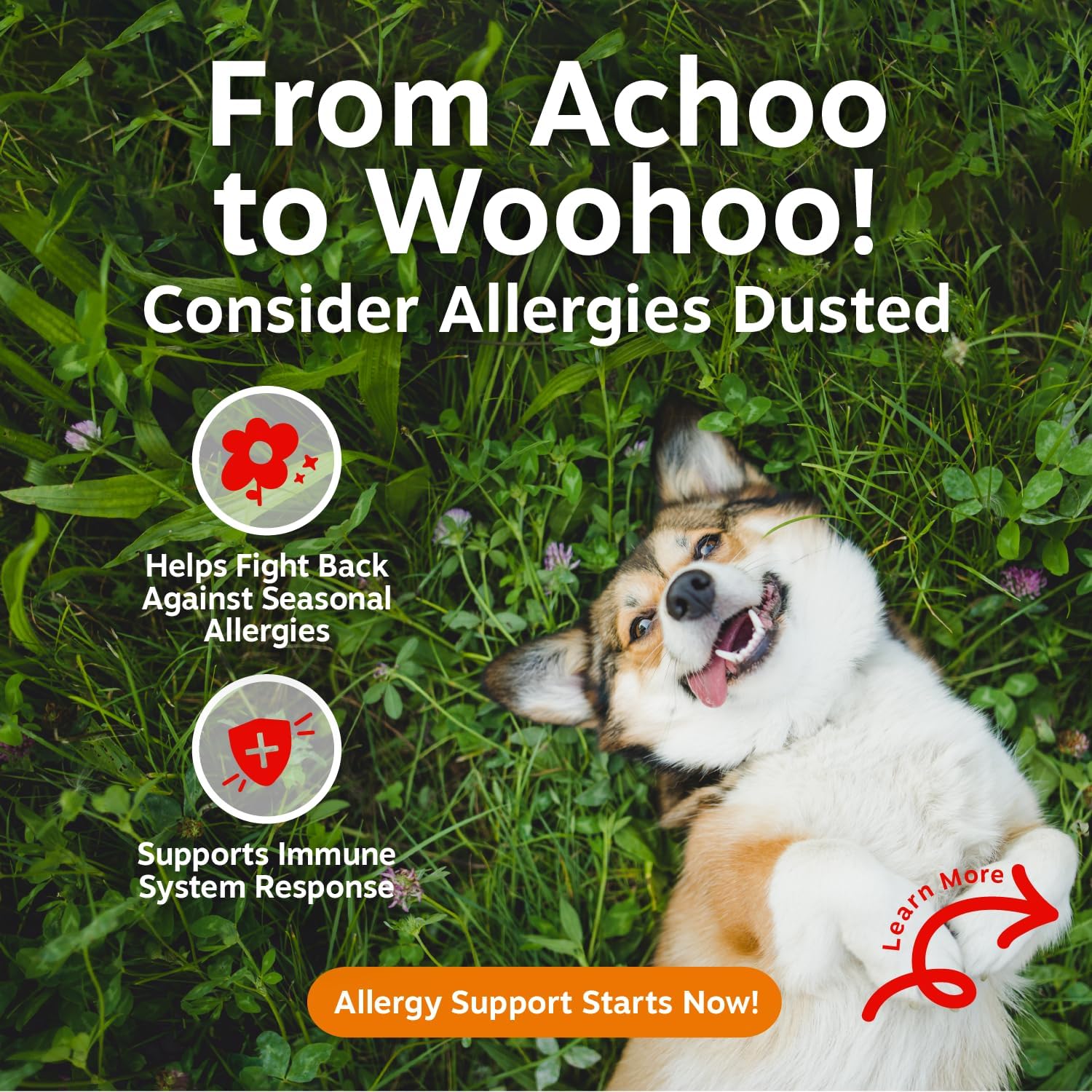 Zesty Paws Allergy Immune Bites soft chews with salmon oil for dog allergy relief